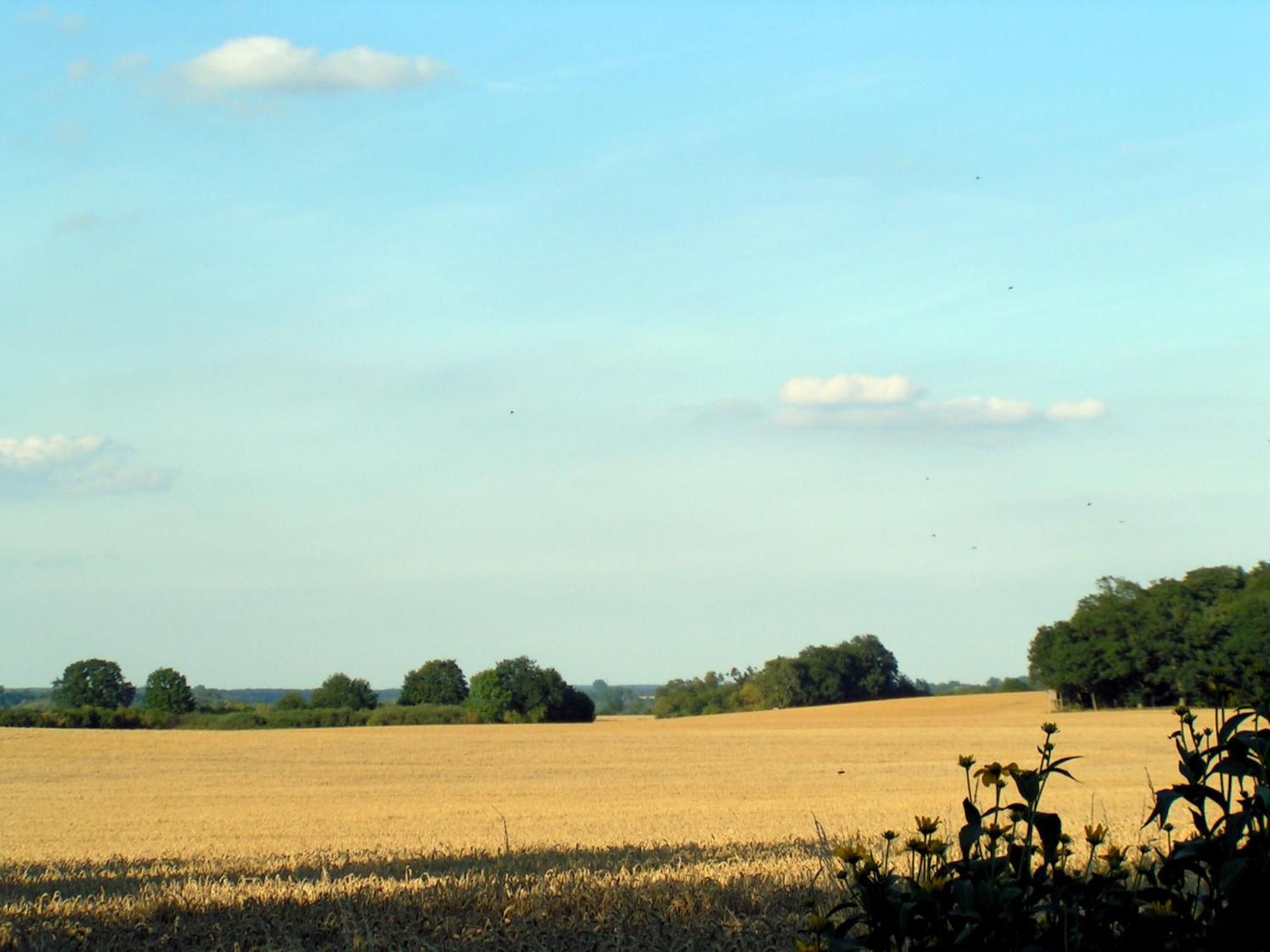 Hof Sorgenlos Gross Gievitz Oda fotoğraf