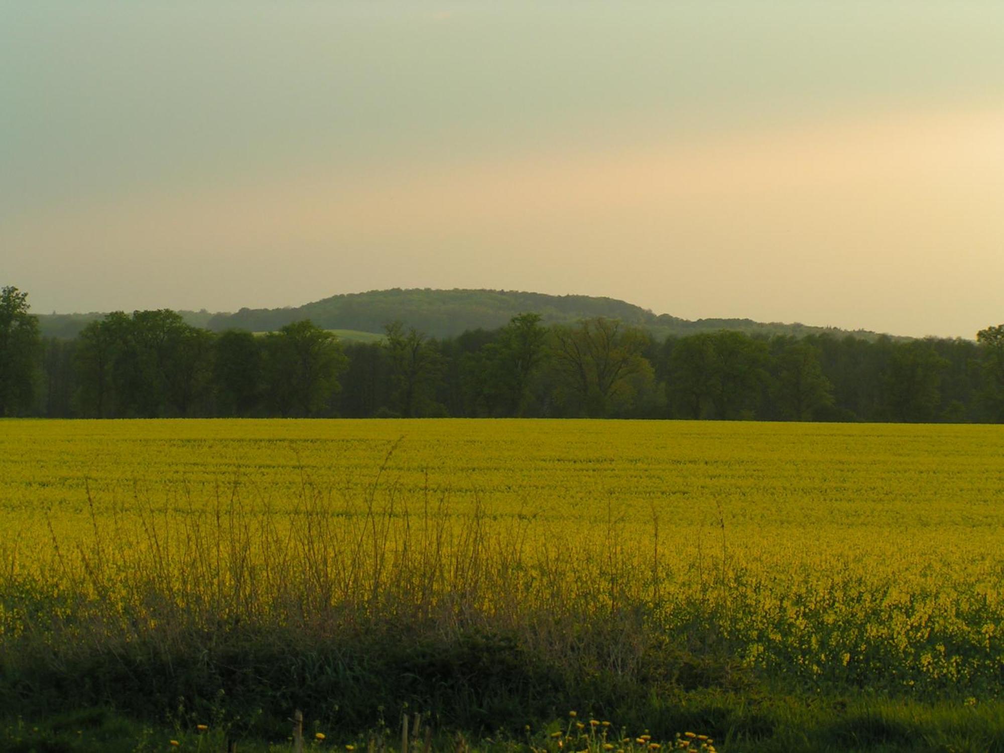 Hof Sorgenlos Gross Gievitz Oda fotoğraf