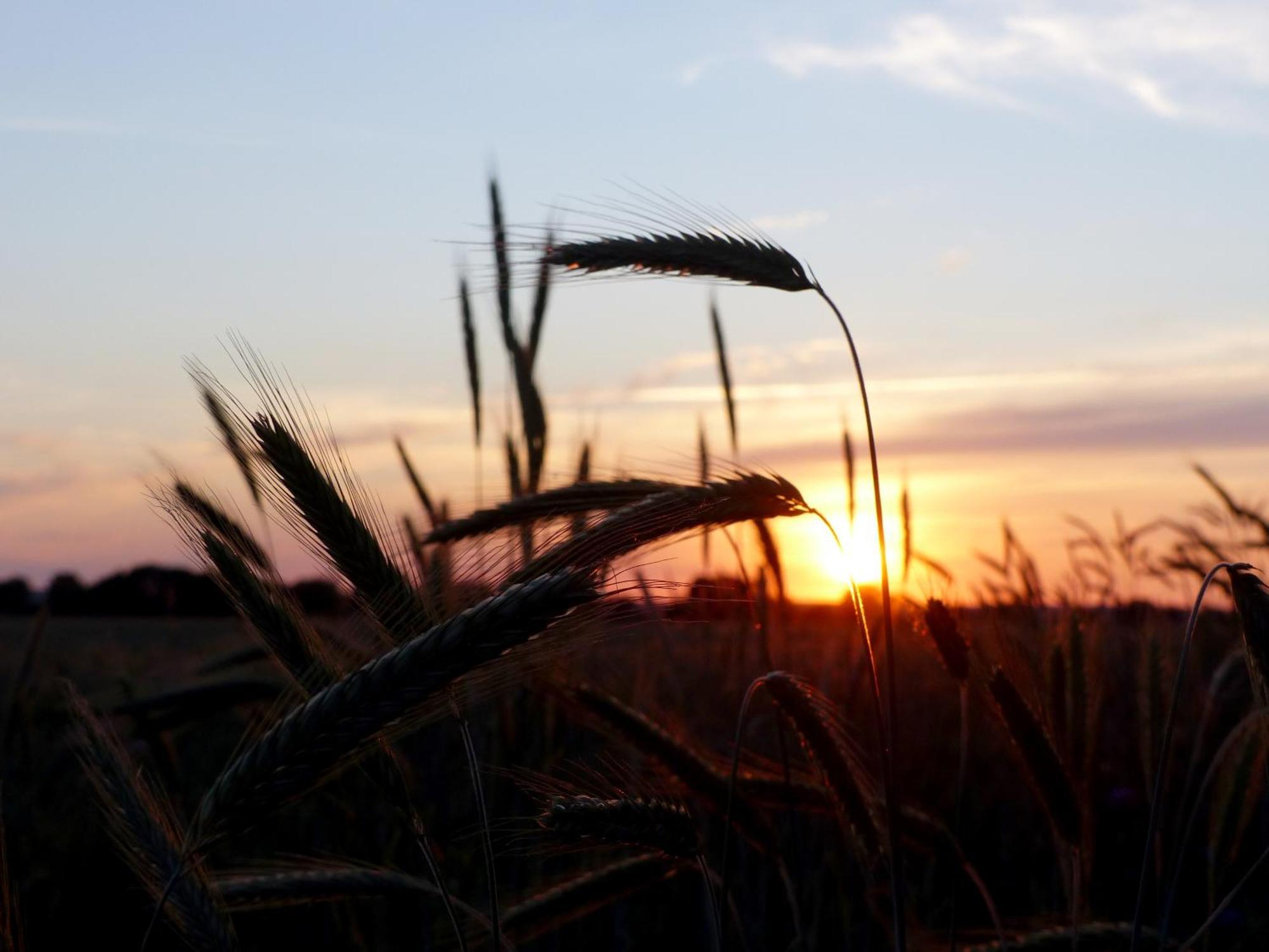 Hof Sorgenlos Gross Gievitz Dış mekan fotoğraf