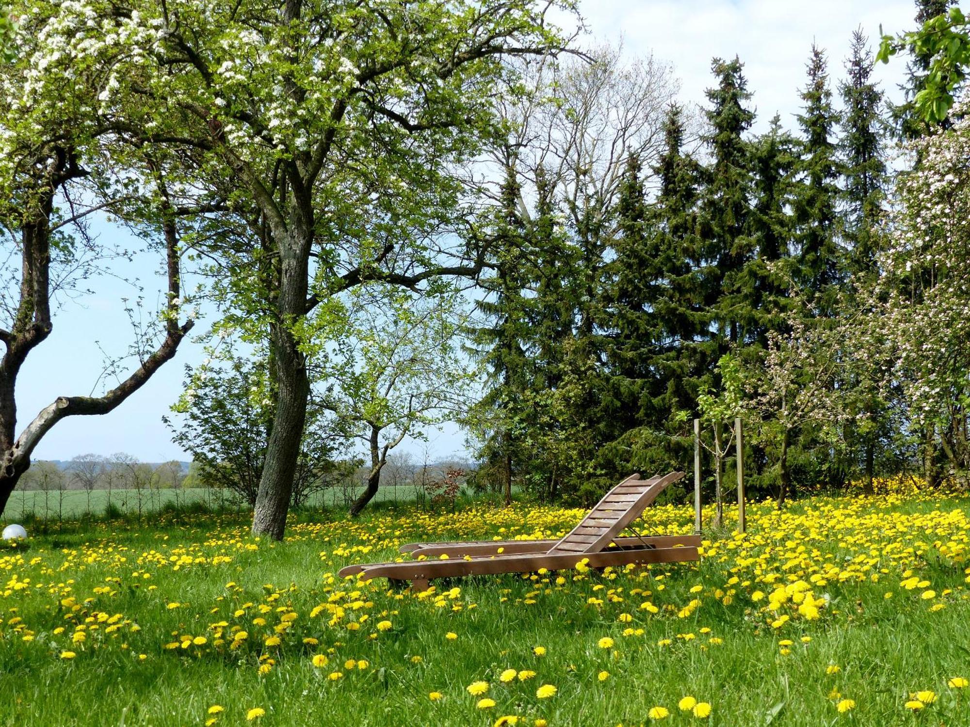 Hof Sorgenlos Gross Gievitz Dış mekan fotoğraf