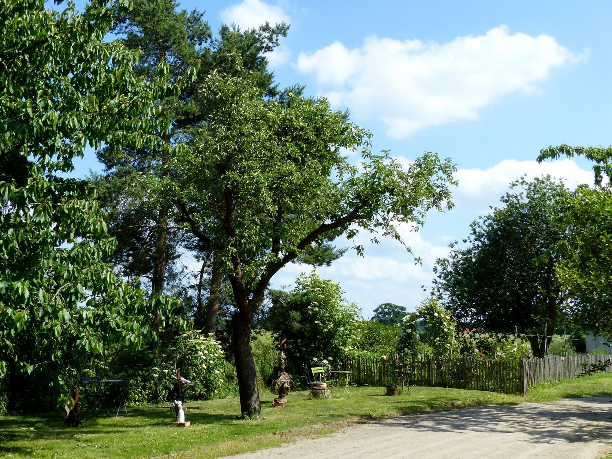 Hof Sorgenlos Gross Gievitz Dış mekan fotoğraf