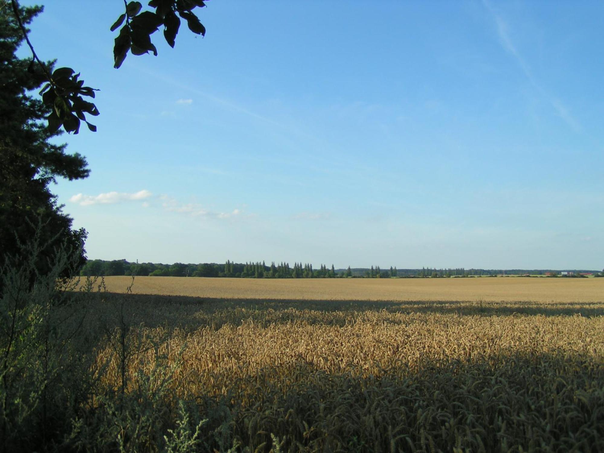 Hof Sorgenlos Gross Gievitz Oda fotoğraf