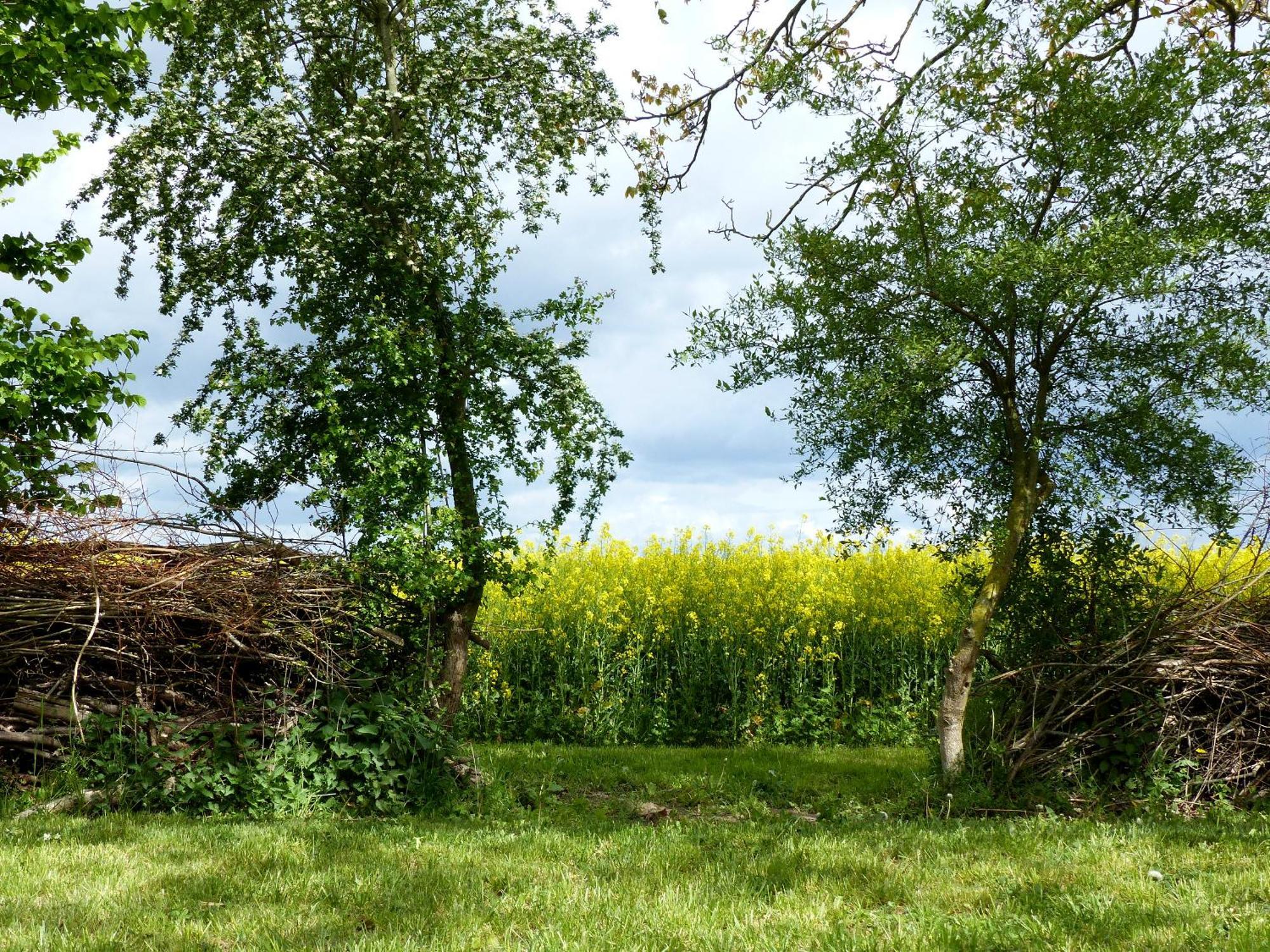Hof Sorgenlos Gross Gievitz Oda fotoğraf
